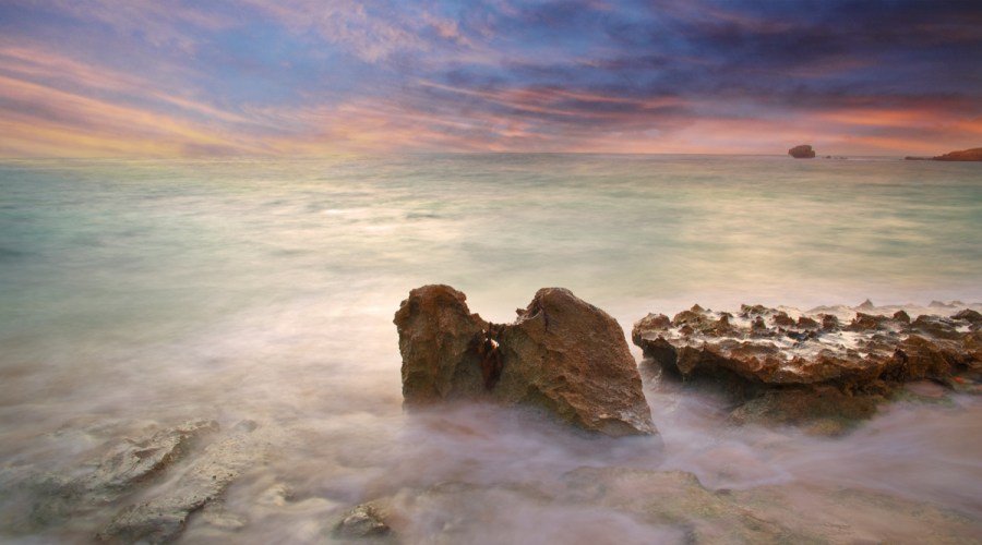 Looking Back, Looking&nbsp;Forward